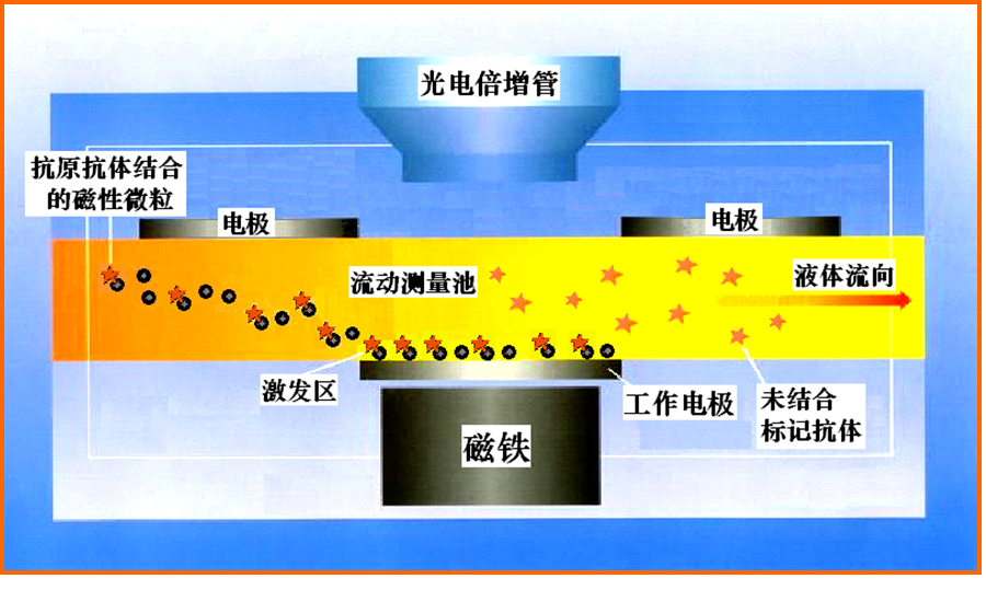 IVD 化學發光分析儀(2款:半自動和全自動)(圖2)