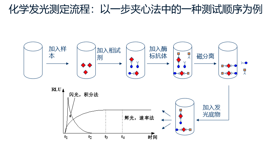 IVD 化學發光分析儀(2款:半自動和全自動)(圖3)